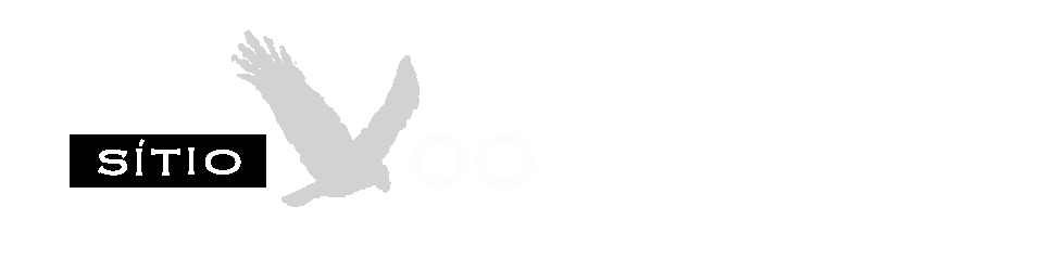 Logo do sítio Voo da Águia